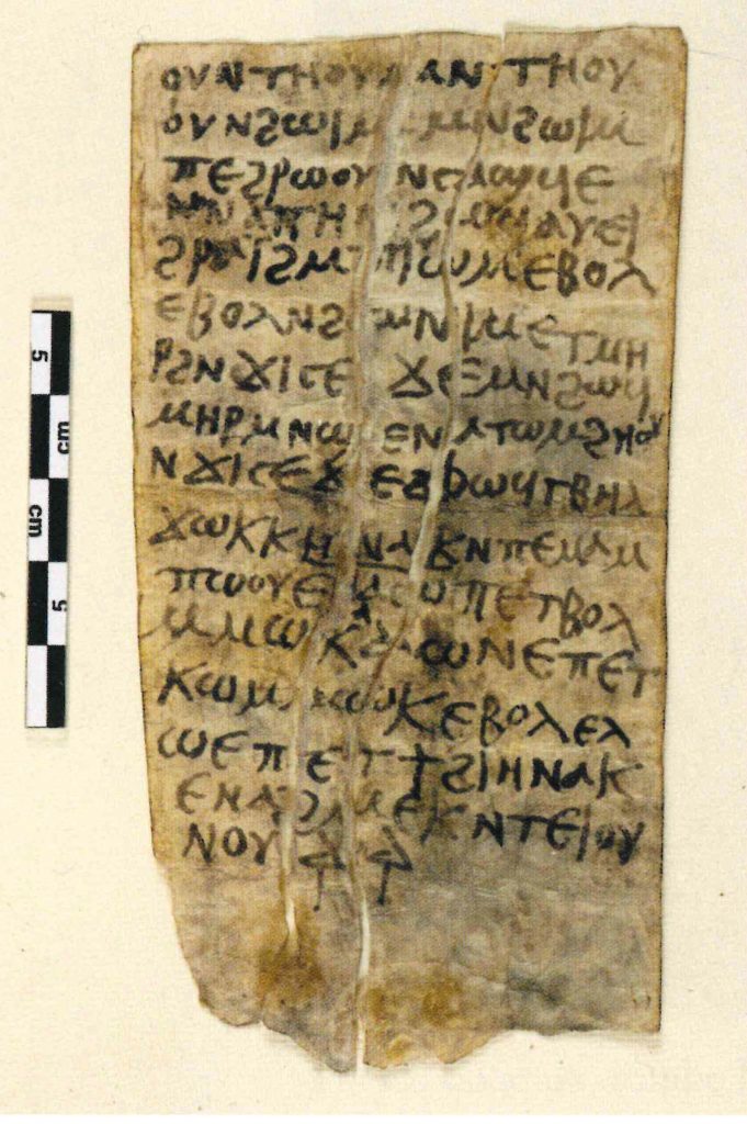 An image of a piece of yellowed paper with 16 lines of Coptic text written on it. The paper has been folded several times. A ruler to the left shows it is about 12 cm high and 6.5 cm wide.