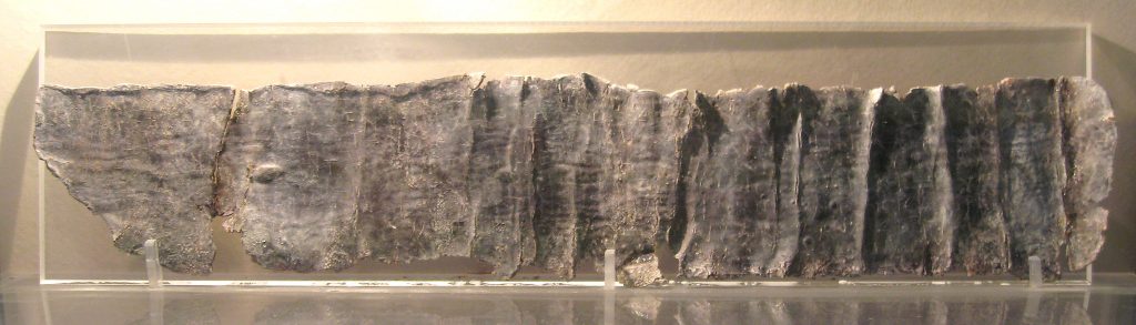 A long, partially damaged, lead sheet, which shows the folds from when it was rolled up. Text is just visible on its surface, but impossible to read at this scale.